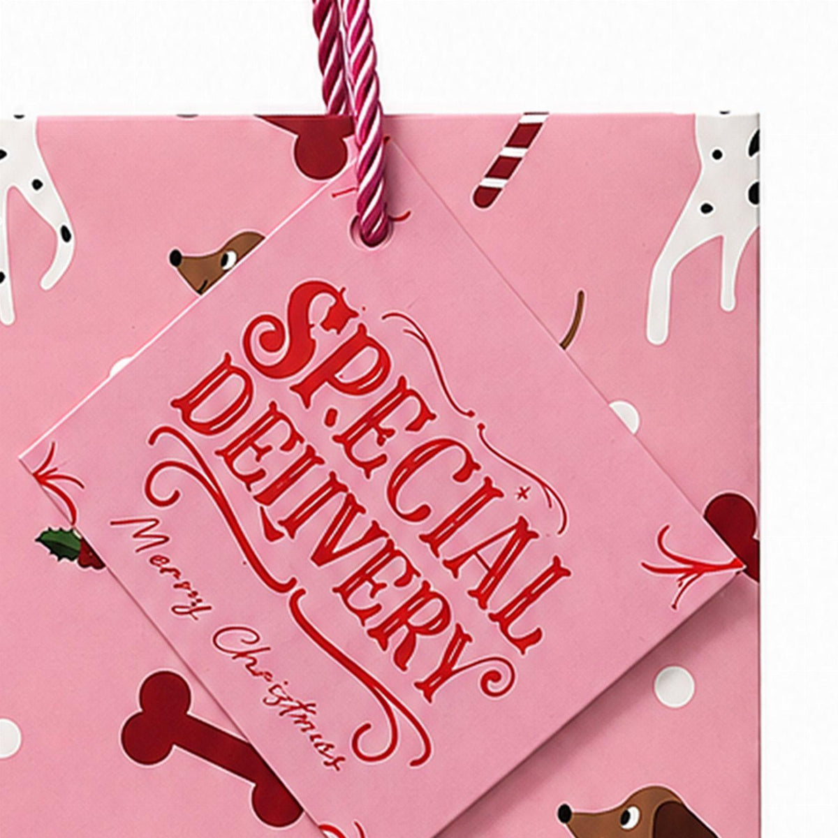 Christmas Gift Bag for Santa Presents under the Christmas Tree