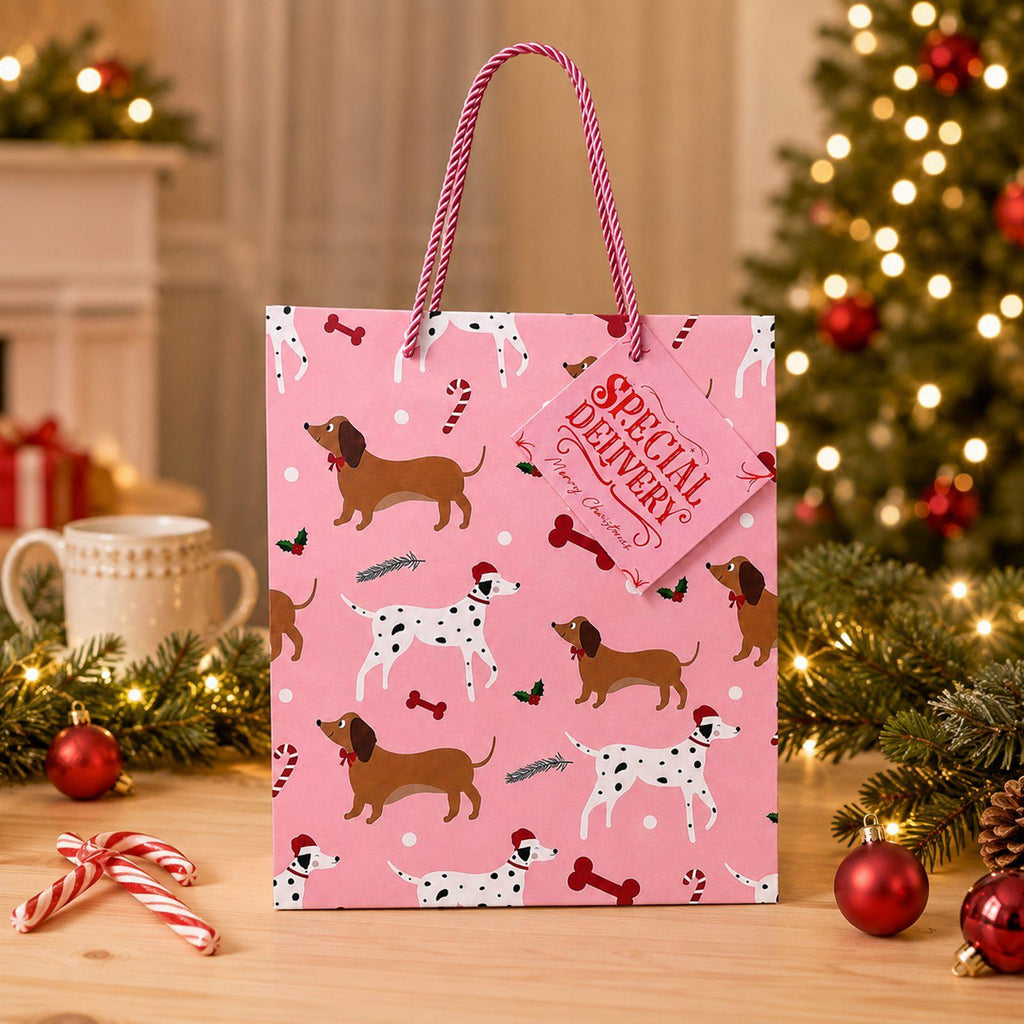Christmas Gift Bag for Santa Presents under the Christmas Tree