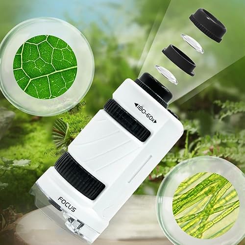 Taskumikroskoop 60×–120× LED - valgustusega - Ostuklikk